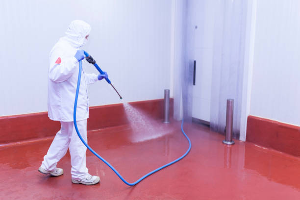 Best House Exterior Washing  in Huntington, TX